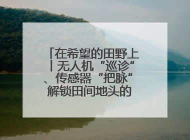 在希望的田野上丨无人机“巡诊”、传感器“把脉” 解锁田间地头的丰收密码