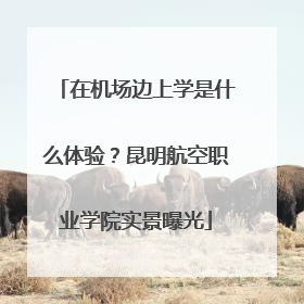 在机场边上学是什么体验？昆明航空职业学院实景曝光