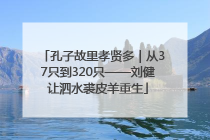 孔子故里孝贤多｜从37只到320只——刘健让泗水裘皮羊重生