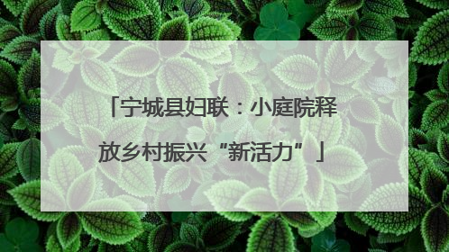 宁城县妇联：小庭院释放乡村振兴“新活力”