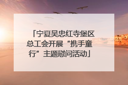 宁夏吴忠红寺堡区总工会开展“携手童行”主题慰问活动