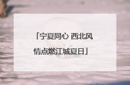 宁夏同心 西北风情点燃江城夏日