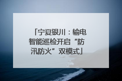 宁夏银川：输电智能巡检开启“防汛防火”双模式