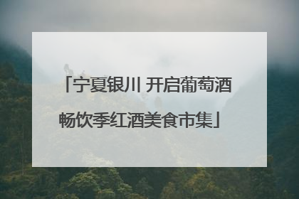 宁夏银川 开启葡萄酒畅饮季红酒美食市集