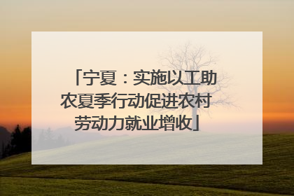 宁夏：实施以工助农夏季行动促进农村劳动力就业增收