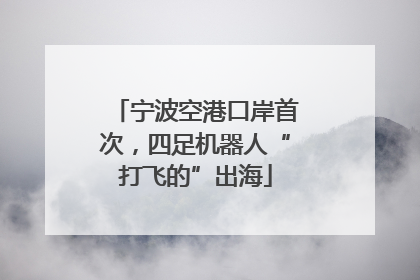宁波空港口岸首次，四足机器人“打飞的”出海