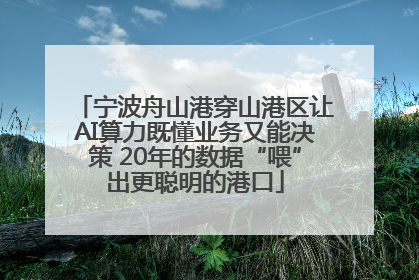 宁波舟山港穿山港区让AI算力既懂业务又能决策 20年的数据“喂”出更聪明的港口