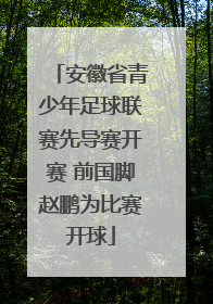 安徽省青少年足球联赛先导赛开赛 前国脚赵鹏为比赛开球