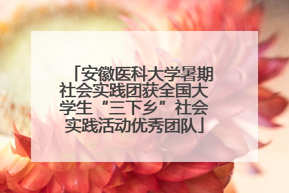 安徽医科大学暑期社会实践团获全国大学生“三下乡”社会实践活动优秀团队