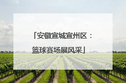 安徽宣城宣州区：篮球赛场展风采