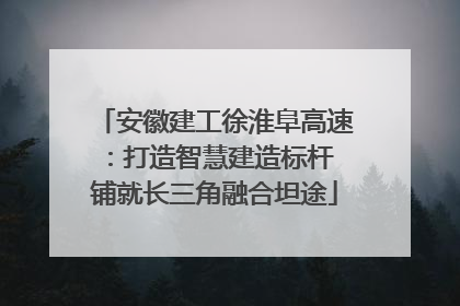 安徽建工徐淮阜高速：打造智慧建造标杆 铺就长三角融合坦途