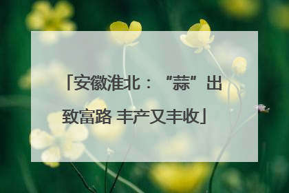 安徽淮北：“蒜”出致富路 丰产又丰收