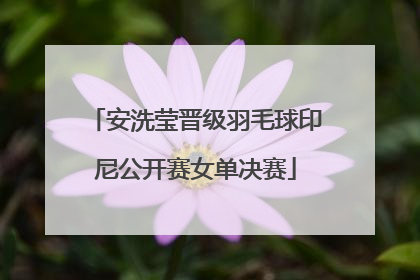 安洗莹晋级羽毛球印尼公开赛女单决赛