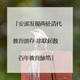 安溪发现两处清代教育遗存 串联起数百年教育脉络