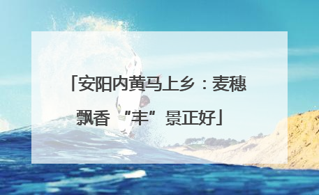 安阳内黄马上乡：麦穗飘香 “丰”景正好