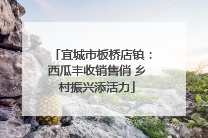 宜城市板桥店镇：西瓜丰收销售俏 乡村振兴添活力