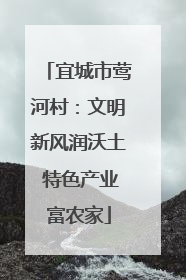 宜城市莺河村：文明新风润沃土 特色产业富农家