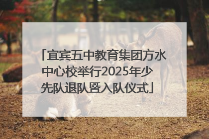 宜宾五中教育集团方水中心校举行2025年少先队退队暨入队仪式