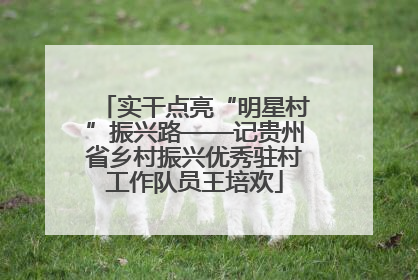实干点亮“明星村”振兴路——记贵州省乡村振兴优秀驻村工作队员王培欢