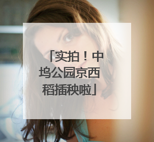实拍！中坞公园京西稻插秧啦