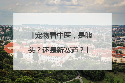宠物看中医，是噱头？还是新赛道？