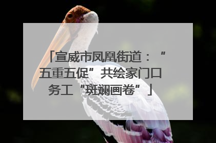宣威市凤凰街道：“五重五促”共绘家门口务工“斑斓画卷”