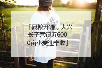 夏粮开镰，大兴长子营镇近6000亩小麦迎丰收