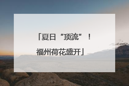 夏日“顶流”！福州荷花盛开