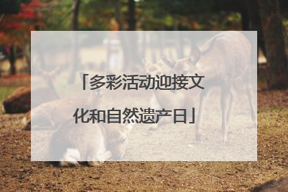 多彩活动迎接文化和自然遗产日