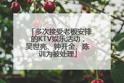 多次接受老板安排的KTV娱乐活动，吴世亮、钟开金、陈训为被处理