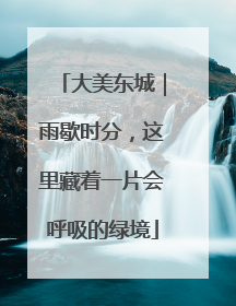 大美东城｜雨歇时分，这里藏着一片会呼吸的绿境