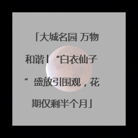 大城名园 万物和谐│“白衣仙子”盛放引围观，花期仅剩半个月