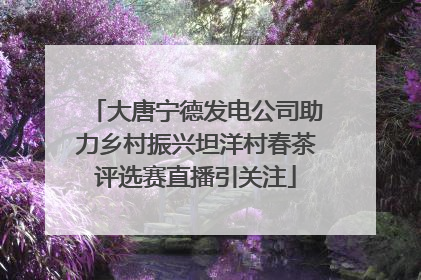大唐宁德发电公司助力乡村振兴坦洋村春茶评选赛直播引关注