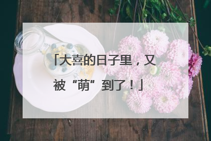 大喜的日子里，又被“萌”到了！