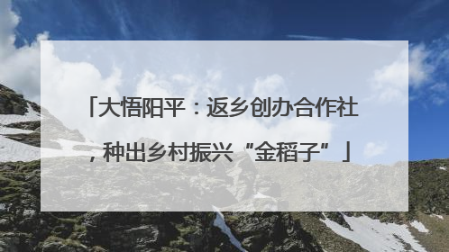 大悟阳平：返乡创办合作社，种出乡村振兴“金稻子”