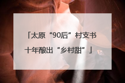 太原“90后”村支书十年酿出“乡村甜”