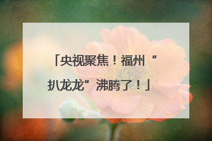 央视聚焦！福州“扒龙龙”沸腾了！