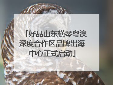 好品山东横琴粤澳深度合作区品牌出海中心正式启动