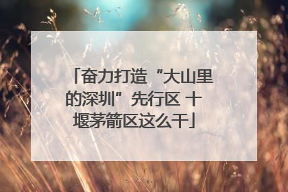 奋力打造“大山里的深圳”先行区 十堰茅箭区这么干