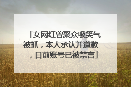 女网红曾聚众吸笑气被抓，本人承认并道歉，目前账号已被禁言