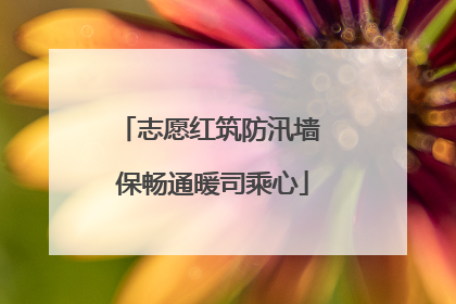 志愿红筑防汛墙 保畅通暖司乘心