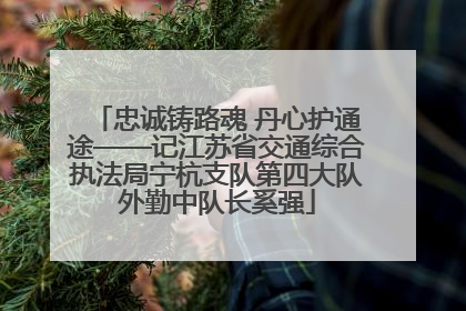 忠诚铸路魂 丹心护通途——记江苏省交通综合执法局宁杭支队第四大队外勤中队长奚强