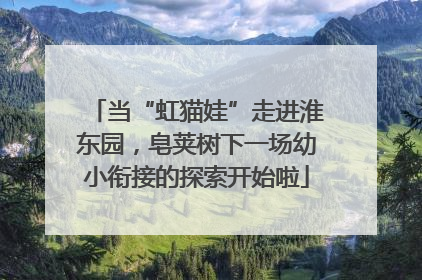 当“虹猫娃”走进淮东园，皂荚树下一场幼小衔接的探索开始啦