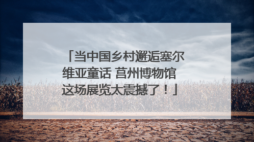 当中国乡村邂逅塞尔维亚童话 莒州博物馆这场展览太震撼了！