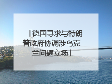 德国寻求与特朗普政府协调涉乌克兰问题立场