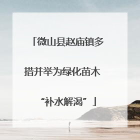 微山县赵庙镇多措并举为绿化苗木“补水解渴”