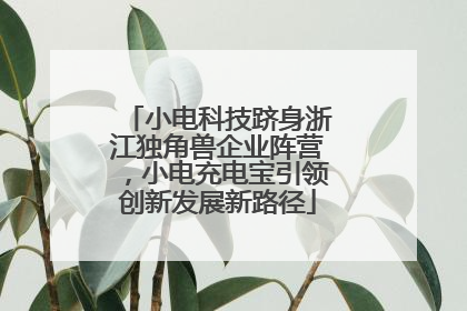 小电科技跻身浙江独角兽企业阵营，小电充电宝引领创新发展新路径