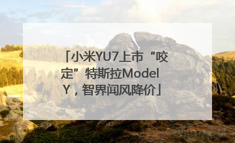小米YU7上市“咬定”特斯拉Model Y，智界闻风降价