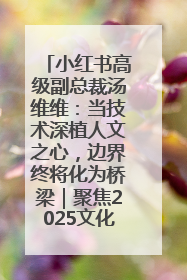 小红书高级副总裁汤维维：当技术深植人文之心，边界终将化为桥梁｜聚焦2025文化强国建设高峰论坛