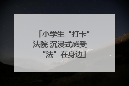 小学生“打卡”法院 沉浸式感受“法”在身边